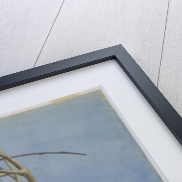 Wisteria on a Wall, 1870s by Fidelia Bridges