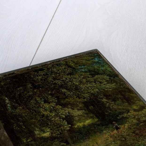 Tulip trees, 1859 by William Trost Richards