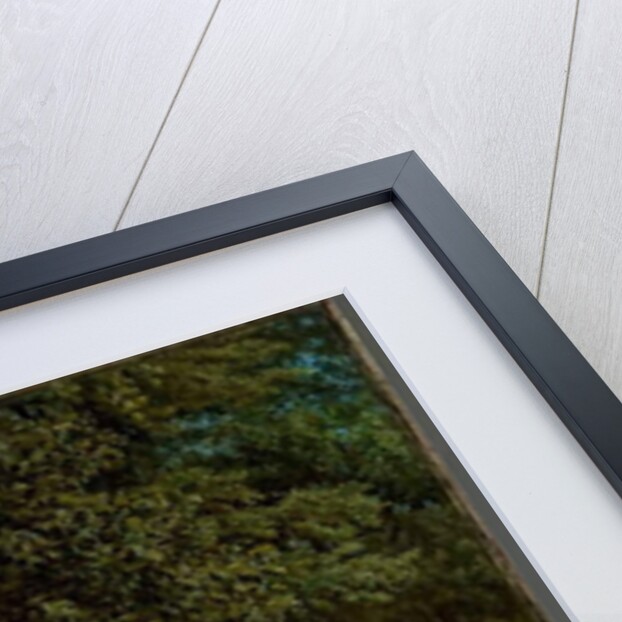 Tulip trees, 1859 by William Trost Richards