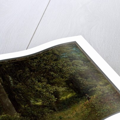 Tulip trees, 1859 by William Trost Richards