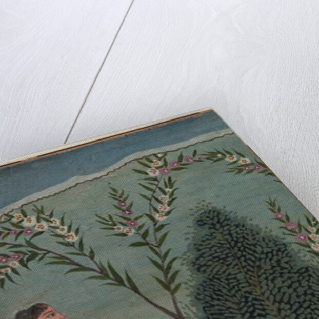 Lady in the wilderness by Indian School