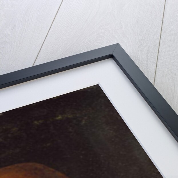 Portrait of Louis XI by Jean Fouquet