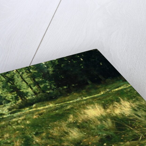 La Marcellerie, 1881 by Gaines Ruger Donoho