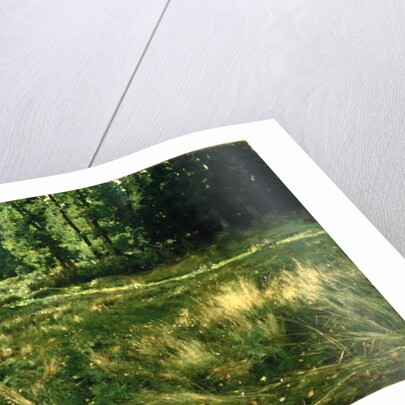 La Marcellerie, 1881 by Gaines Ruger Donoho