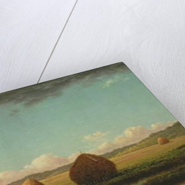 Summer Showers, c.1862-63 by Martin Johnson Heade