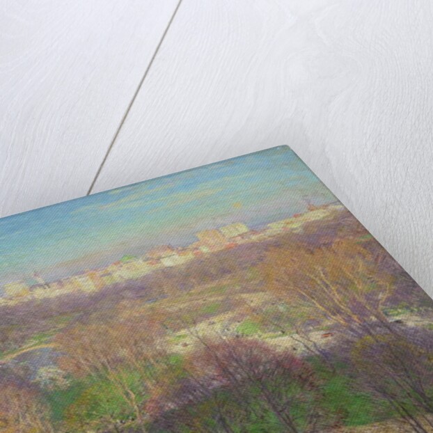 Early Spring Afternoon, Central Park, 1911 by Willard Leroy Metcalf