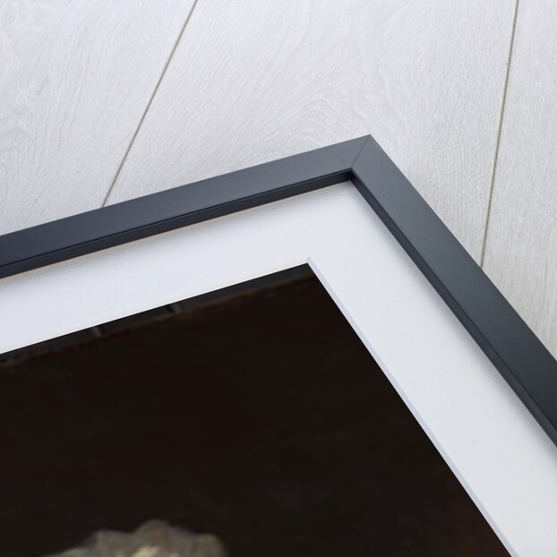 Mrs. Robert Nicholls Auchmuty, 1816 by Gilbert Stuart