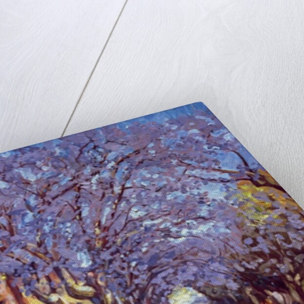 North Sydney Jacaranda, 1990 by Ted Blackall