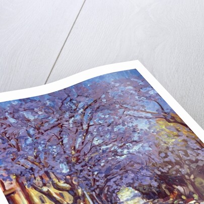 North Sydney Jacaranda, 1990 by Ted Blackall