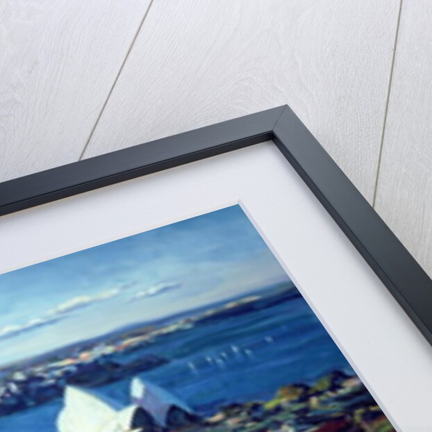 Sydney Harbour, PM, 1995 by Ted Blackall