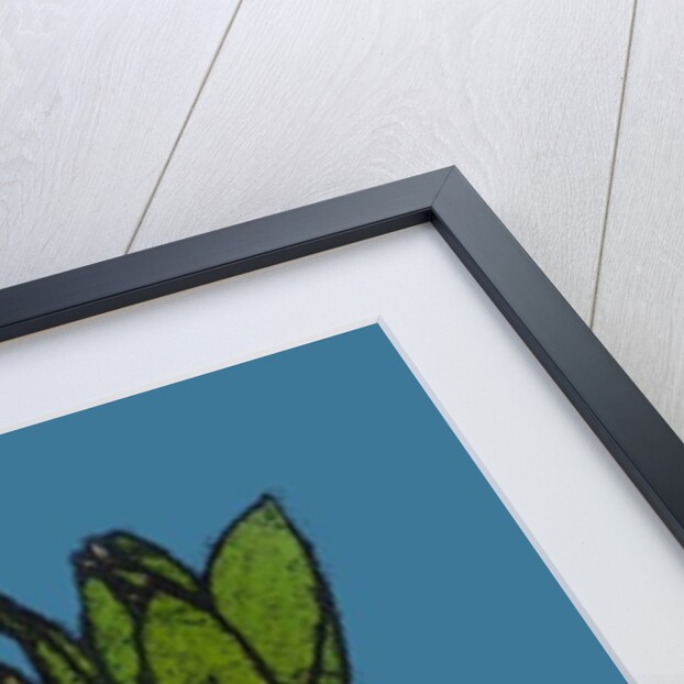 Hyacinths, 2016 by Sarah Thompson-Engels