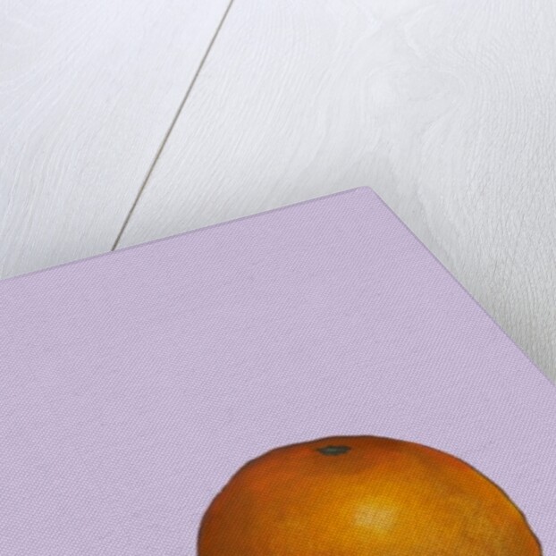 Orange, 2015 by Sarah Thompson-Engels