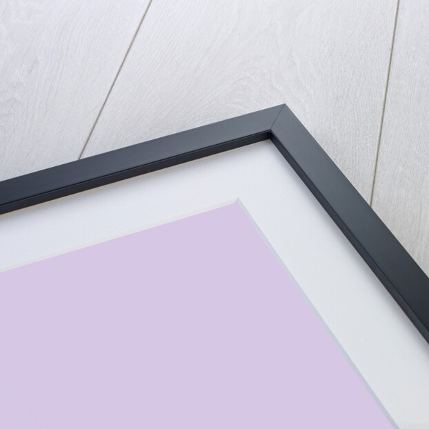 Orange, 2015 by Sarah Thompson-Engels