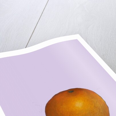 Orange, 2015 by Sarah Thompson-Engels