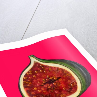 Fig, 2009 by Sarah Thompson-Engels