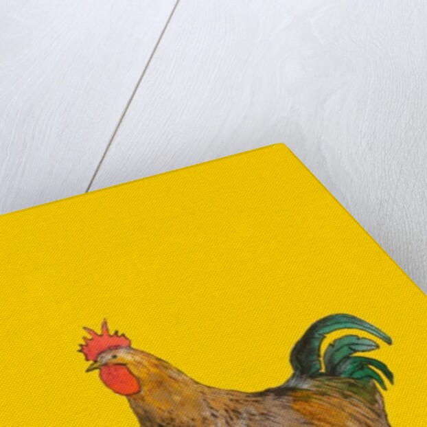 Cockerel, 2006 by Sarah Thompson-Engels