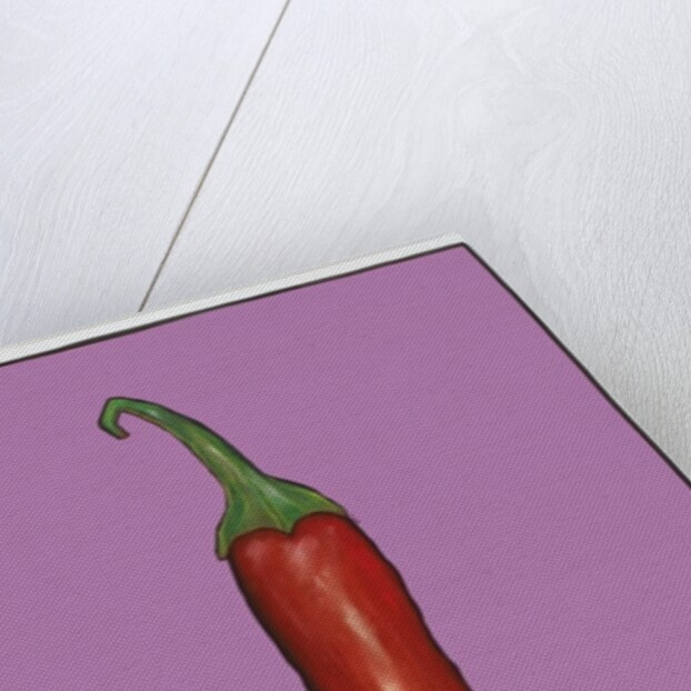 Chilli pepper purple,2004 by Sarah Thompson-Engels