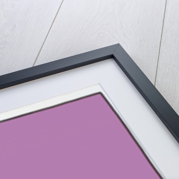 Chilli pepper purple,2004 by Sarah Thompson-Engels