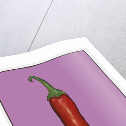 Chilli pepper purple,2004 by Sarah Thompson-Engels