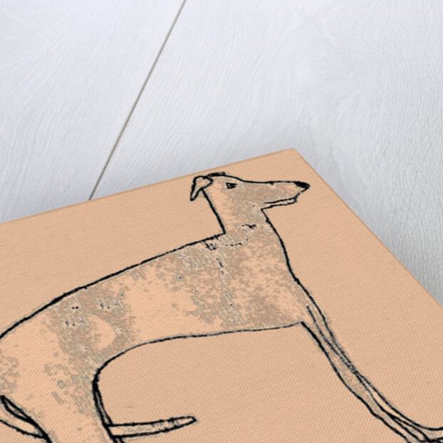 Skinny dog, 2016 by Sarah Thompson-Engels