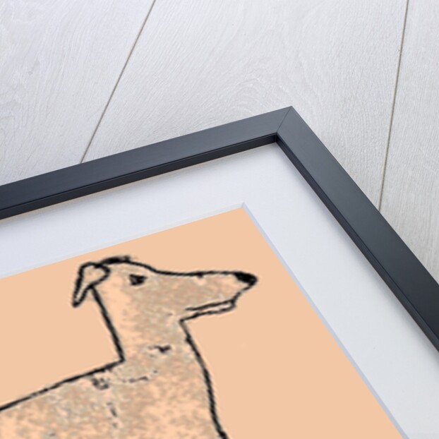 Skinny dog, 2016 by Sarah Thompson-Engels