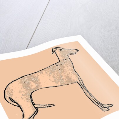 Skinny dog, 2016 by Sarah Thompson-Engels