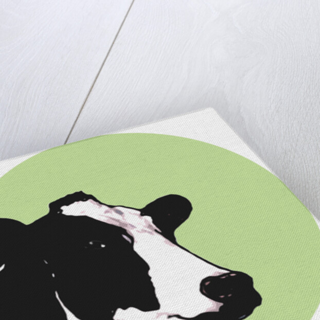 Cow, 2015 by Sarah Thompson-Engels