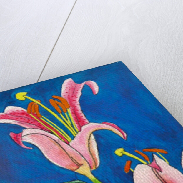 Stargazer by Sarah Thompson-Engels