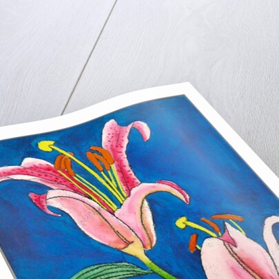 Stargazer by Sarah Thompson-Engels