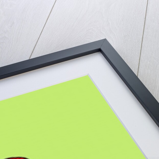 Cupcake, 2005 by Sarah Thompson-Engels