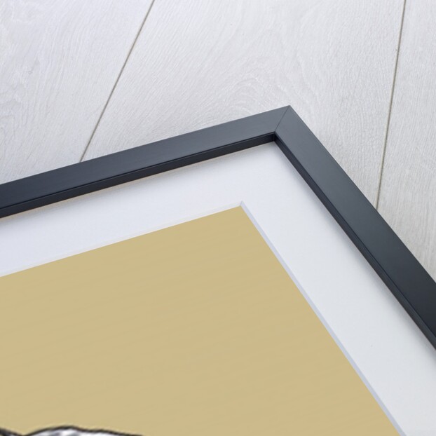 Bull terrier, 2014 by Sarah Thompson-Engels