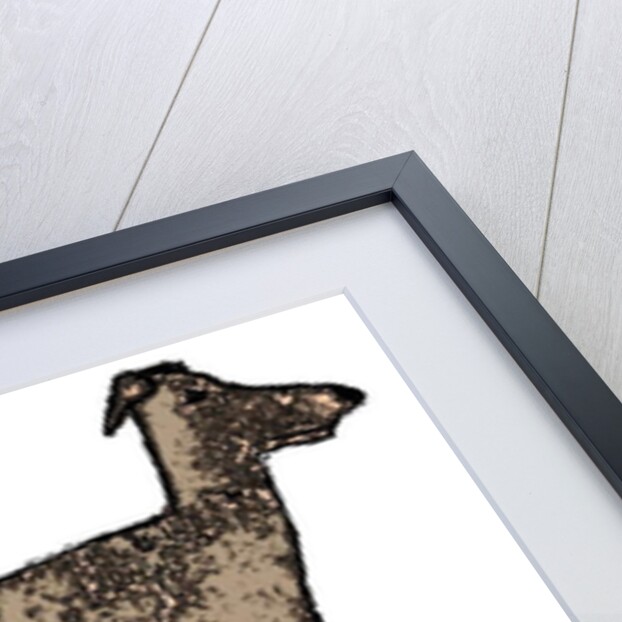 Lurcher, 2018 by Sarah Thompson-Engels