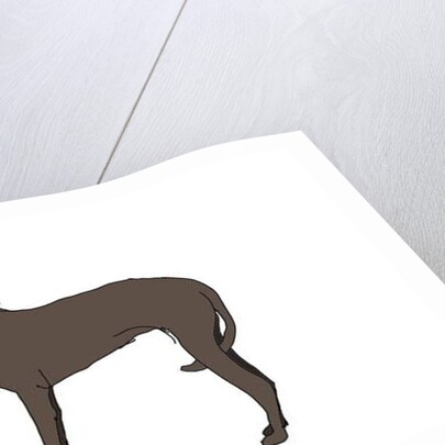 Hound, 2018 by Sarah Thompson-Engels