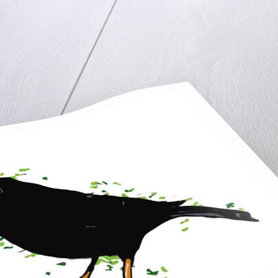 Blackbird, 2018 by Sarah Thompson-Engels