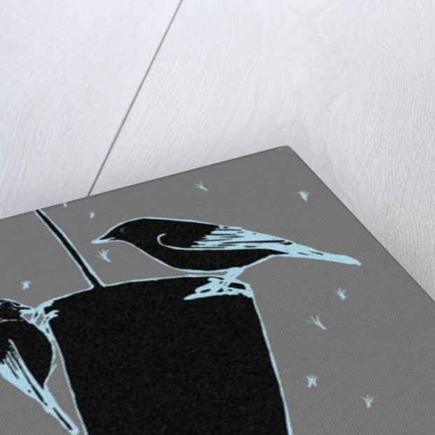 Feed the birds, 2018 by Sarah Thompson-Engels