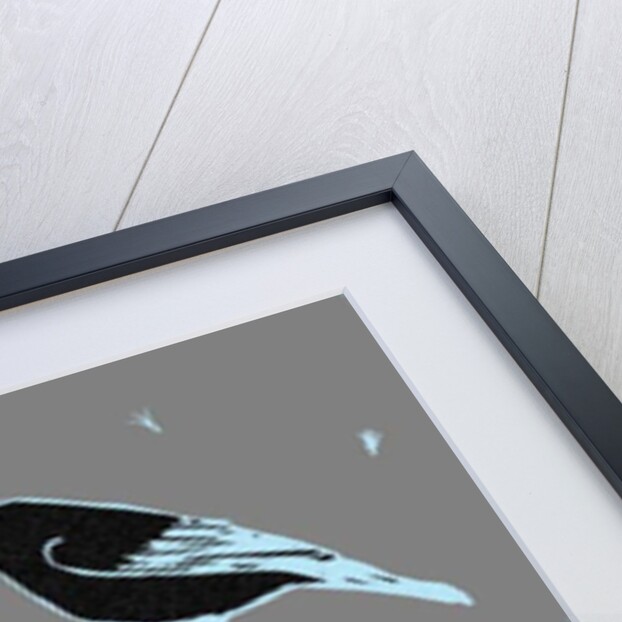 Feed the birds, 2018 by Sarah Thompson-Engels