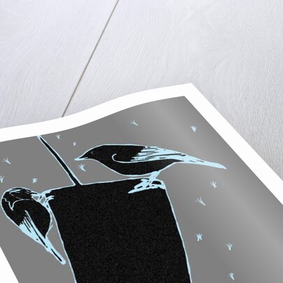 Feed the birds, 2018 by Sarah Thompson-Engels