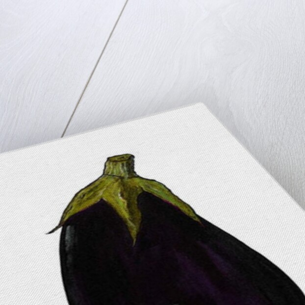 Purple aubergine by Sarah Thompson-Engels