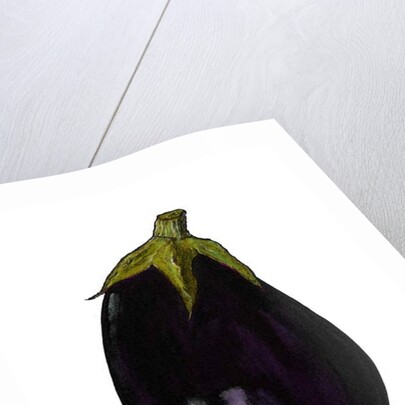 Purple aubergine by Sarah Thompson-Engels