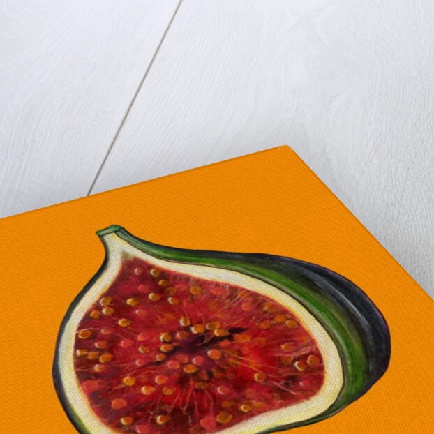 Fig on orange by Sarah Thompson-Engels