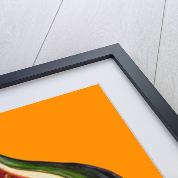 Fig on orange by Sarah Thompson-Engels