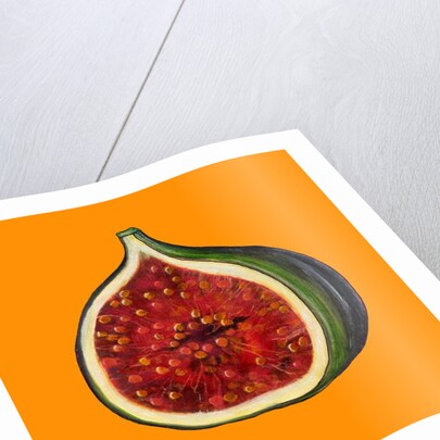 Fig on orange by Sarah Thompson-Engels