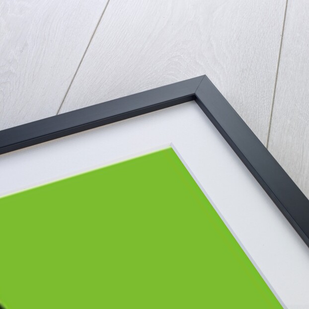 Red hot chilli pepper, 2014 by Sarah Thompson-Engels