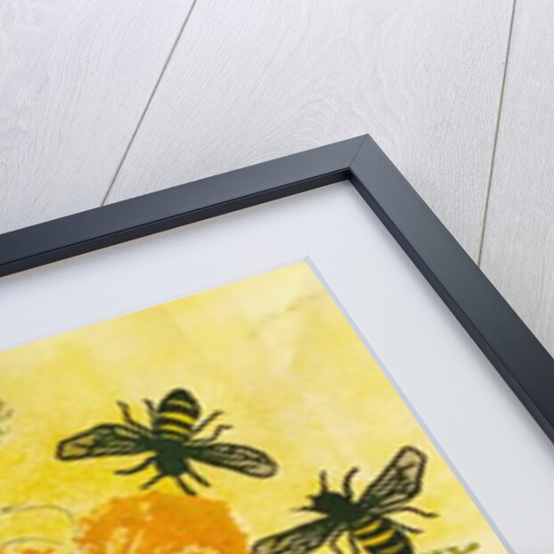 Birds and bees, 2019 by Sarah Thompson-Engels