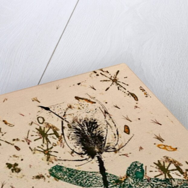 Teasel by Sarah Thompson-Engels