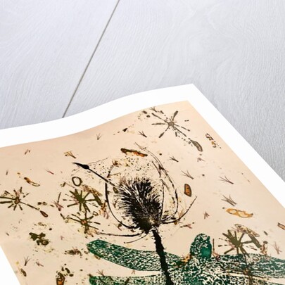 Teasel by Sarah Thompson-Engels