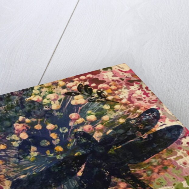 Dragonfly by Sarah Thompson-Engels