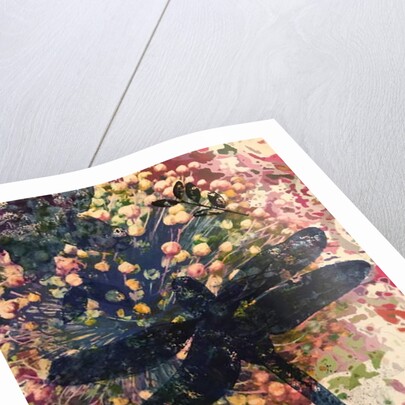 Dragonfly by Sarah Thompson-Engels