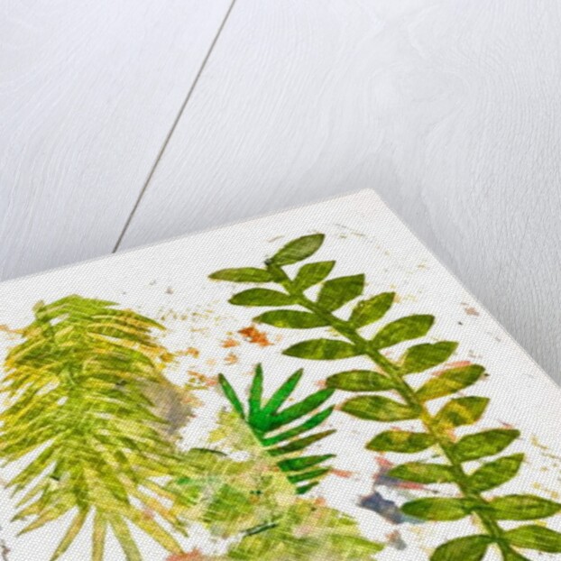 Botanical jungle, 2019 by Sarah Thompson-Engels