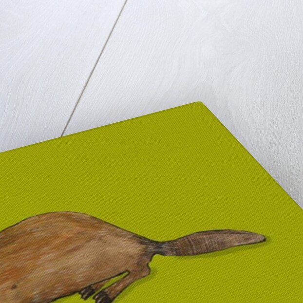 Beaver, 2014 by Sarah Thompson-Engels